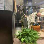 ヒメ日記 2025/08/25 12:39 投稿 らら 熟女家 十三店