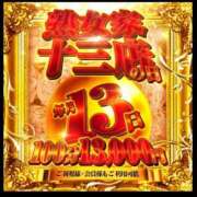 ヒメ日記 2025/11/13 12:03 投稿 らら 熟女家 十三店