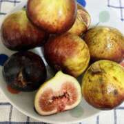 ヒメ日記 2025/11/16 11:26 投稿 らら 熟女家 十三店