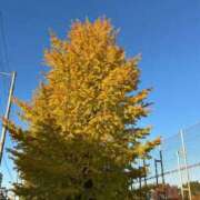 ヒメ日記 2025/11/25 06:16 投稿 らら 熟女家 十三店