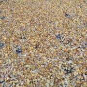 ヒメ日記 2025/12/04 09:33 投稿 らら 熟女家 十三店