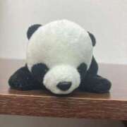 ヒメ日記 2025/08/01 22:29 投稿 ☆ひなた☆ Kiseki