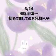 ヒメ日記 2026/06/15 08:13 投稿 ☆いちか☆ Kiseki