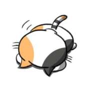 ヒメ日記 2025/08/16 11:37 投稿 いの 川崎ソープ　クリスタル京都南町