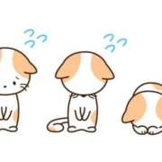 ヒメ日記 2025/11/29 10:57 投稿 いの 川崎ソープ　クリスタル京都南町