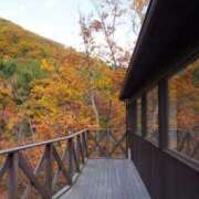 ヒメ日記 2025/09/04 11:30 投稿 春菜澄花 お姉さんCLUB