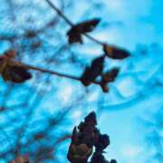 ヒメ日記 2026/04/13 12:49 投稿 春菜澄花 お姉さんCLUB