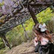 ヒメ日記 2025/11/05 11:10 投稿 あん 人妻の輝き(大阪)