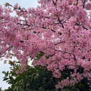 ヒメ日記 2026/03/03 08:18 投稿 せら ニュー不夜城