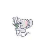 せら おはよー️☀️.° ニュー不夜城