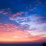 ヒメ日記 2025/08/20 15:47 投稿 花凛(かりん) DAHLIA(ダリア)