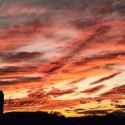 ヒメ日記 2025/11/21 16:46 投稿 日高 熟女の風俗最終章 新横浜店