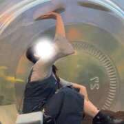 ヒメ日記 2025/07/20 09:09 投稿 ゆえ 恋愛生欲情の扉