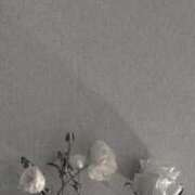 りおん♡えっちな変態おねえさん♡ ひさびさ出勤します‪(  . .)"‬ ぴゅあぱい＆ぷりてぃ♡ぴゅあグループ誠実すぎる風俗♡返金保証店♡八代宇土