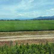 ヒメ日記 2025/07/23 12:57 投稿 えれか OH！PAI