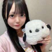 ヒメ日記 2025/11/07 09:59 投稿 さくら 帯広黒い金魚