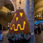 ヒメ日記 2025/11/02 21:51 投稿 ゆうき X-PARTY