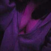 ヒメ日記 2026/09/12 11:01 投稿 ゆうき X-PARTY
