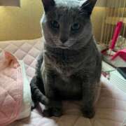 ヒメ日記 2025/07/17 08:39 投稿 みと 西東京市小平ちゃんこ