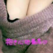 ヒメ日記 2025/12/24 20:42 投稿 ひすい ちゃんこ伊勢志摩鳥羽店