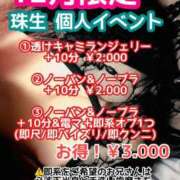 ヒメ日記 2025/12/29 12:42 投稿 ひすい ちゃんこ伊勢志摩鳥羽店