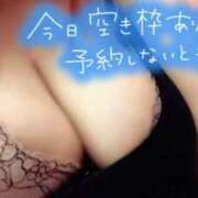 ヒメ日記 2026/03/27 13:32 投稿 ひすい ちゃんこ伊勢志摩鳥羽店