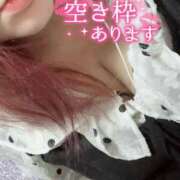 ヒメ日記 2026/03/31 18:32 投稿 ひすい ちゃんこ伊勢志摩鳥羽店