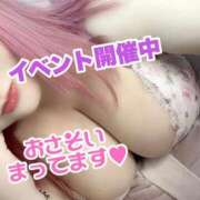 ヒメ日記 2026/04/21 12:22 投稿 ひすい ちゃんこ伊勢志摩鳥羽店