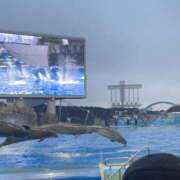 ヒメ日記 2025/10/28 20:25 投稿 おと アラモード