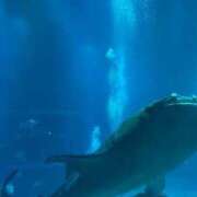 おと 🐰💗〜おおさか🐙〜💗🐰 アラモード