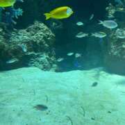 ヒメ日記 2025/12/11 20:21 投稿 おと アラモード