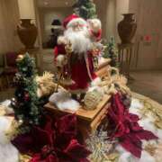 ヒメ日記 2025/12/24 18:02 投稿 おと アラモード