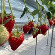 ヒメ日記 2026/03/21 07:29 投稿 おと アラモード