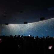 おと 🐰💗〜いわし〜💗🐰 アラモード