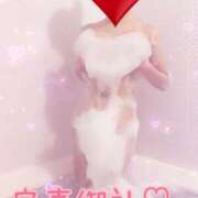 ヒメ日記 2025/08/07 09:23 投稿 もえ スチュワーデス