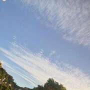 ヒメ日記 2025/07/19 15:11 投稿 日向朝陽 ゴールドクイーン