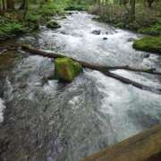 ヒメ日記 2025/07/21 18:20 投稿 日向朝陽 ゴールドクイーン