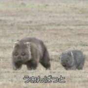 ヒメ日記 2025/07/22 09:26 投稿 日向朝陽 ゴールドクイーン