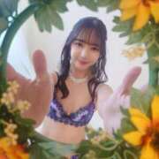 ヒメ日記 2025/07/25 16:20 投稿 日向朝陽 ゴールドクイーン