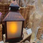 ヒメ日記 2025/08/17 11:20 投稿 日向朝陽 ゴールドクイーン