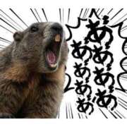 ヒメ日記 2025/11/21 09:40 投稿 日向朝陽 ゴールドクイーン