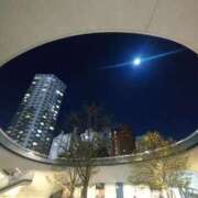 ヒメ日記 2025/12/05 21:15 投稿 日向朝陽 ゴールドクイーン