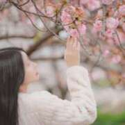 ヒメ日記 2025/08/01 20:17 投稿 春風 菜摘 Canx2京都店