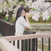 ヒメ日記 2025/09/15 09:17 投稿 春風 菜摘 Canx2京都店