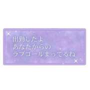ヒメ日記 2025/10/06 10:53 投稿 毒島 熟女の風俗最終章 横浜本店