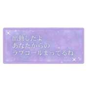 ヒメ日記 2026/01/07 10:48 投稿 毒島 熟女の風俗最終章 横浜本店