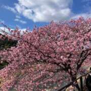 ヒメ日記 2026/02/22 11:45 投稿 毒島 熟女の風俗最終章 横浜本店