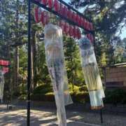 ヒメ日記 2025/08/01 21:11 投稿 花咲 姫（はなさき ひめ） NOA（ノア）