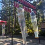 ヒメ日記 2025/08/02 09:39 投稿 花咲 姫（はなさき ひめ） NOA（ノア）