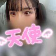 ヒメ日記 2025/10/22 13:55 投稿 花咲 姫（はなさき ひめ） NOA（ノア）